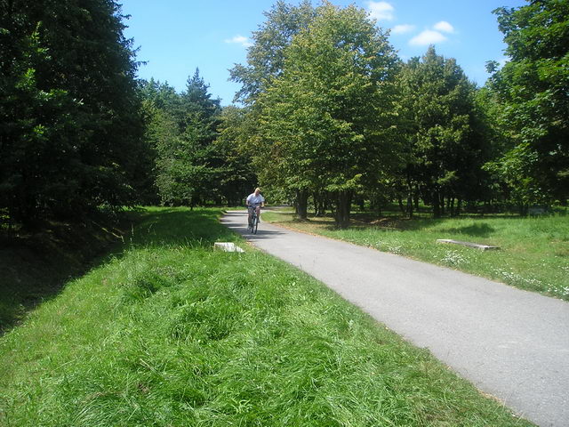 fotka
